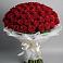 Букет 101 Красная роза Блэк Мэджик в Вольгинский