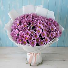 Букет цветов из:  Хризантемы в Вольгинский