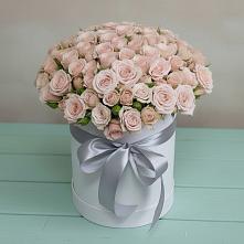 Цветочная композиция из Розы в шляпной коробке #REPLACE_PRED# Вольгинский