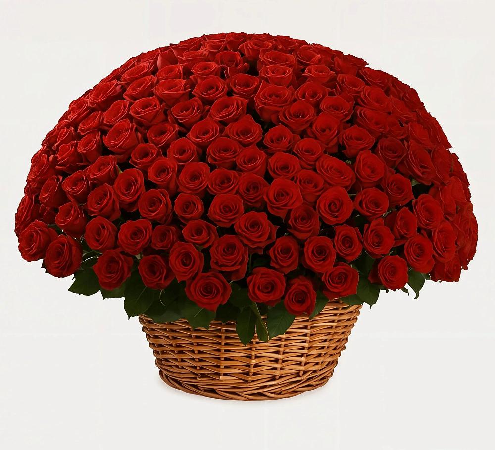 Премиум букет из: Розы в Вольгинский