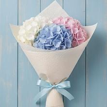 Букет цветов из:  Гортензия в Вольгинский