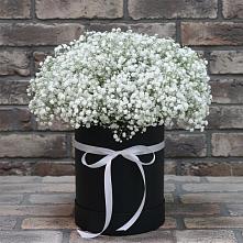 Цветочная композиция из Гипсофила в шляпной коробке #REPLACE_PRED# Вольгинский